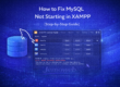 How to Fix MySQL Not Starting in XAMPP (Step-by-Step Guide)